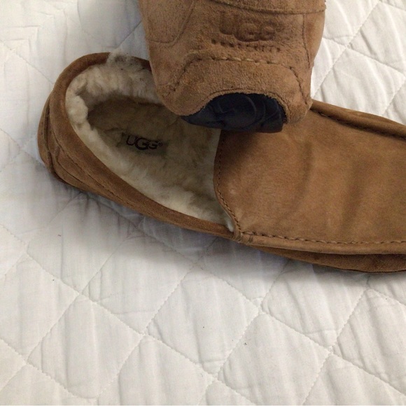 Ugg Men's Ascot Slippers Suede- Chestnut - Picture 5 of 6